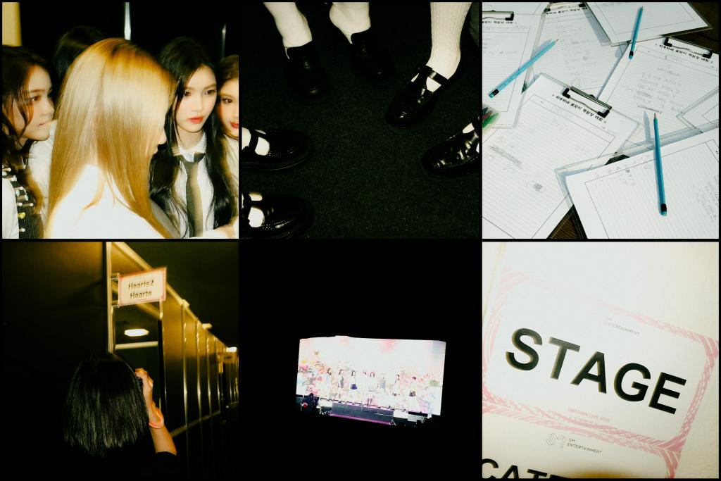 𐔌 ⊹ ࣪ ˖ 𝖨𝗍'𝗌 𝖺𝗅𝗅 𝖺𝖻𝗈𝗎𝗍 𝖧͟𝖾͟𝖺͟𝗋͟𝗍͟𝗌͟𝟤͟𝖧͟𝖾͟𝖺͟𝗋͟𝗍͟𝗌 .ᐟ  ֹ ₊ ꒱