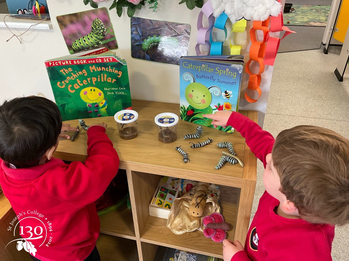 sjcrmain's tweet image. Our Pre-Reception children have been learning all about caterpillars and butterflies over the last few weeks. 🐛🦋 We hope they&apos;ve been out spotting some over the half term break!

#EarlyYears #LearningThroughNature #LifeCycle