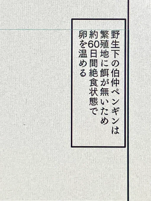 過酷過ぎる 