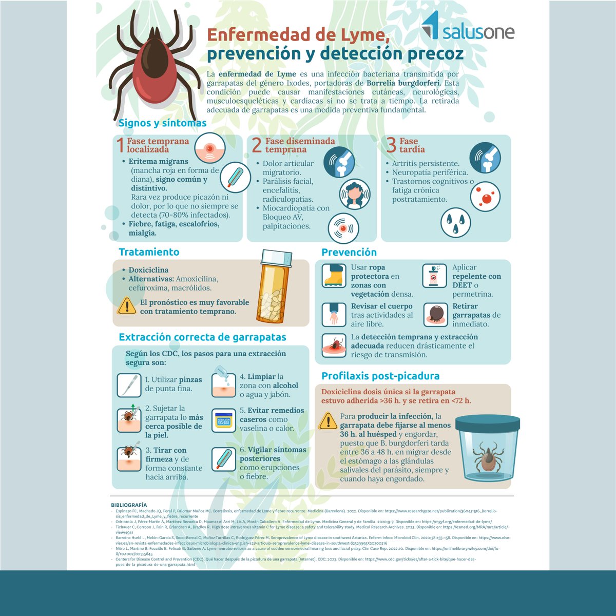 ICOESevilla's tweet image. 🆕 Nueva Infografía de @salusplay ‘Enfermedad de Lyme, prevención y detección precoz’

 📲 Accede a la Web ICOES para descargarla
#EnfermedadDeLyme #PrevenciónSalud #DetecciónPrecoz #SalusPlay #ICOES