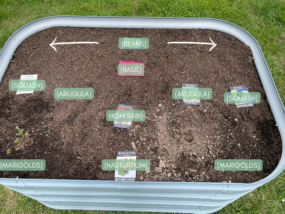 Women's Outdoor News (@thewonoutdoors) on Twitter photo Learn how to grow bush beans, and companion plants, in a raised bed garden this summer. Jackie Richardson breaks down her process.
womensoutdoornews.com/?p=95349
<a href="/Vego_Garden/">Vego Garden</a> Learn how to grow bush beans, and companion plants, in a raised bed garden this summer. Jackie Richardson breaks down her process.
womensoutdoornews.com/?p=95349
<a href="/Vego_Garden/">Vego Garden</a>