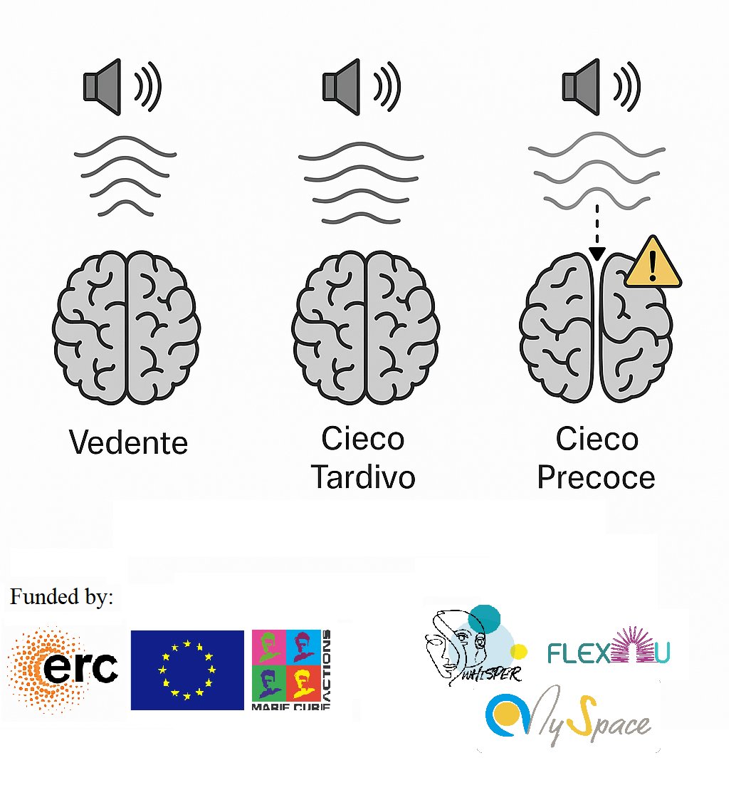 U-VIP IIT (@uvip_iit) on Twitter photo 𝗡𝗲𝘄 𝗽𝘂𝗯𝗹𝗶𝗰𝗮𝘁𝗶𝗼𝗻 👇How does blindness influence spatial sound perception? 🧠psycnet.apa.org/fulltext/2026-…
#neuroscience #perception #psychology #blindness #research #BayesianBrain #FlexU #MySpace #wHiSPER
<a href="/IITalk/">IIT</a> <a href="/IITalk_projects/">IITalk_projects</a>
<a href="/Mariecurie_alum/">Marie Curie Alumni Association (MCAA)</a>
<a href="/ERC_Research/">European Research Council (ERC)</a> 𝗡𝗲𝘄 𝗽𝘂𝗯𝗹𝗶𝗰𝗮𝘁𝗶𝗼𝗻 👇How does blindness influence spatial sound perception? 🧠psycnet.apa.org/fulltext/2026-…
#neuroscience #perception #psychology #blindness #research #BayesianBrain #FlexU #MySpace #wHiSPER
<a href="/IITalk/">IIT</a> <a href="/IITalk_projects/">IITalk_projects</a>
<a href="/Mariecurie_alum/">Marie Curie Alumni Association (MCAA)</a>
<a href="/ERC_Research/">European Research Council (ERC)</a>