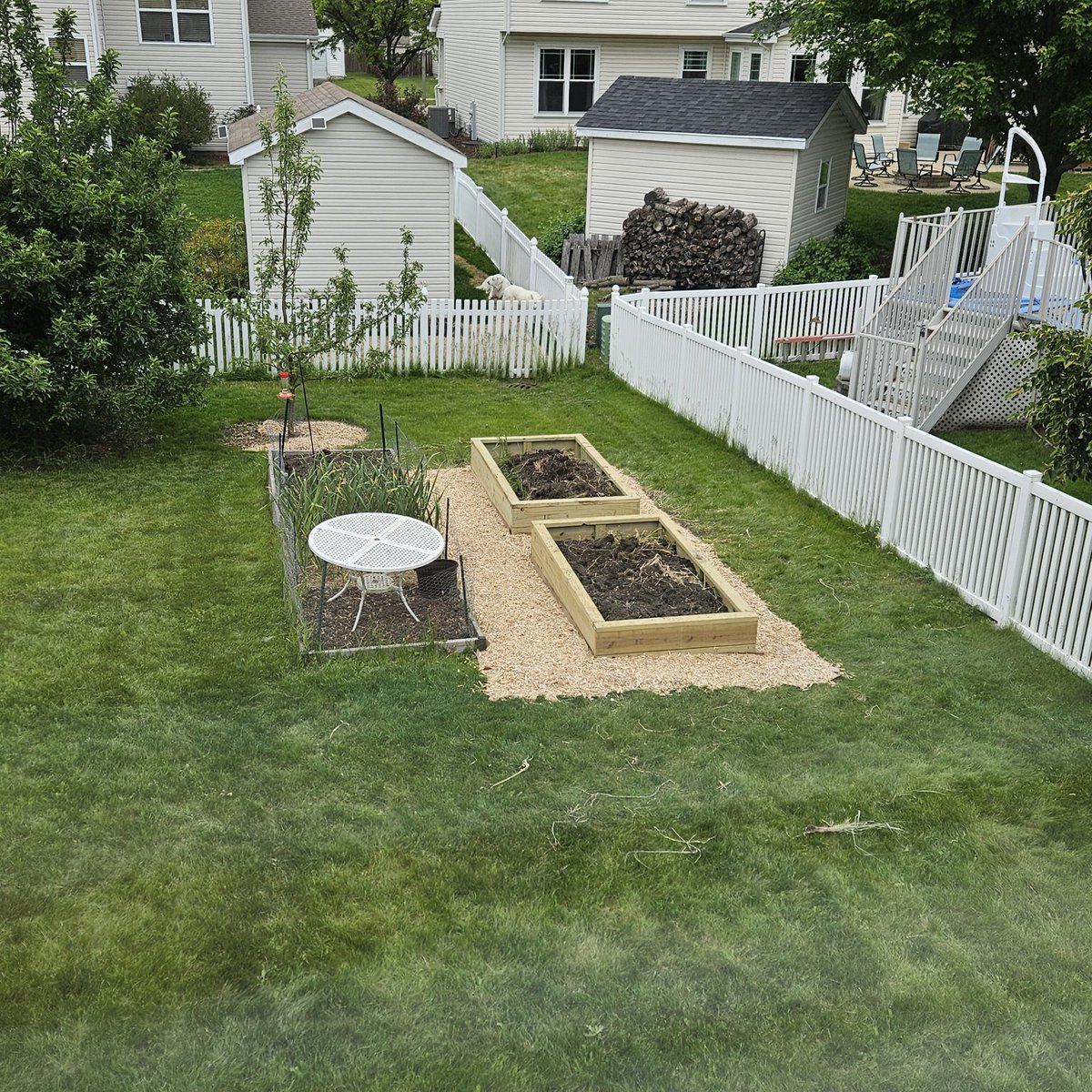 Rebuilding raised veggie garden beds. Pre-assembled in the garage then moved outdoors.