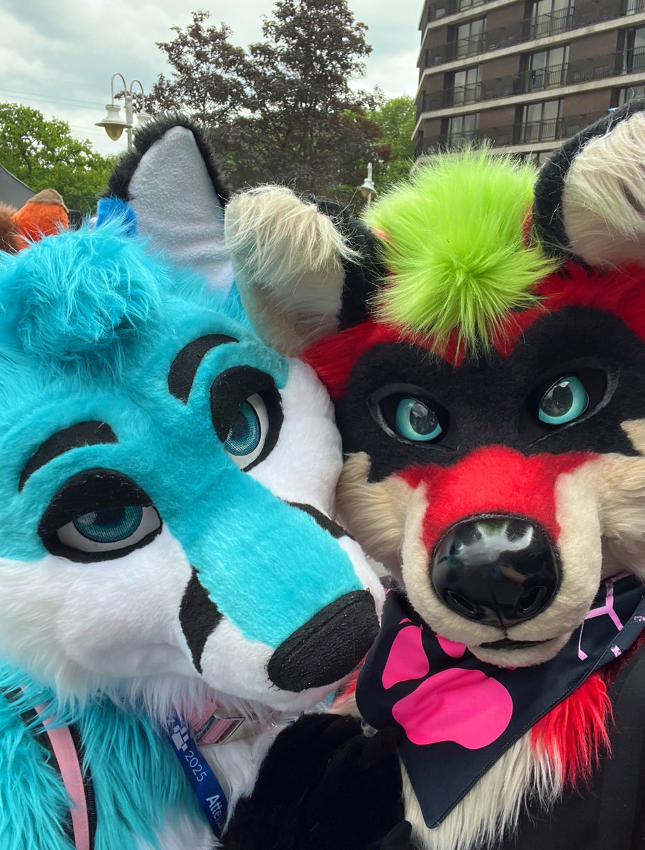 CFz was a blast, I’m so happy I made it. I’ve met so many cool fluffies, wish to see you all soon! Sharing a couple of pics  
<a href="/CyfurWolf/">CyfurWolf</a> <a href="/Gladius_00/">Gladius</a> <a href="/GarinRex/">Garin Rex</a> <a href="/Blue_Zeph/">Zephy 🦊💙</a> 
#cfz2025 #confuzzled2025