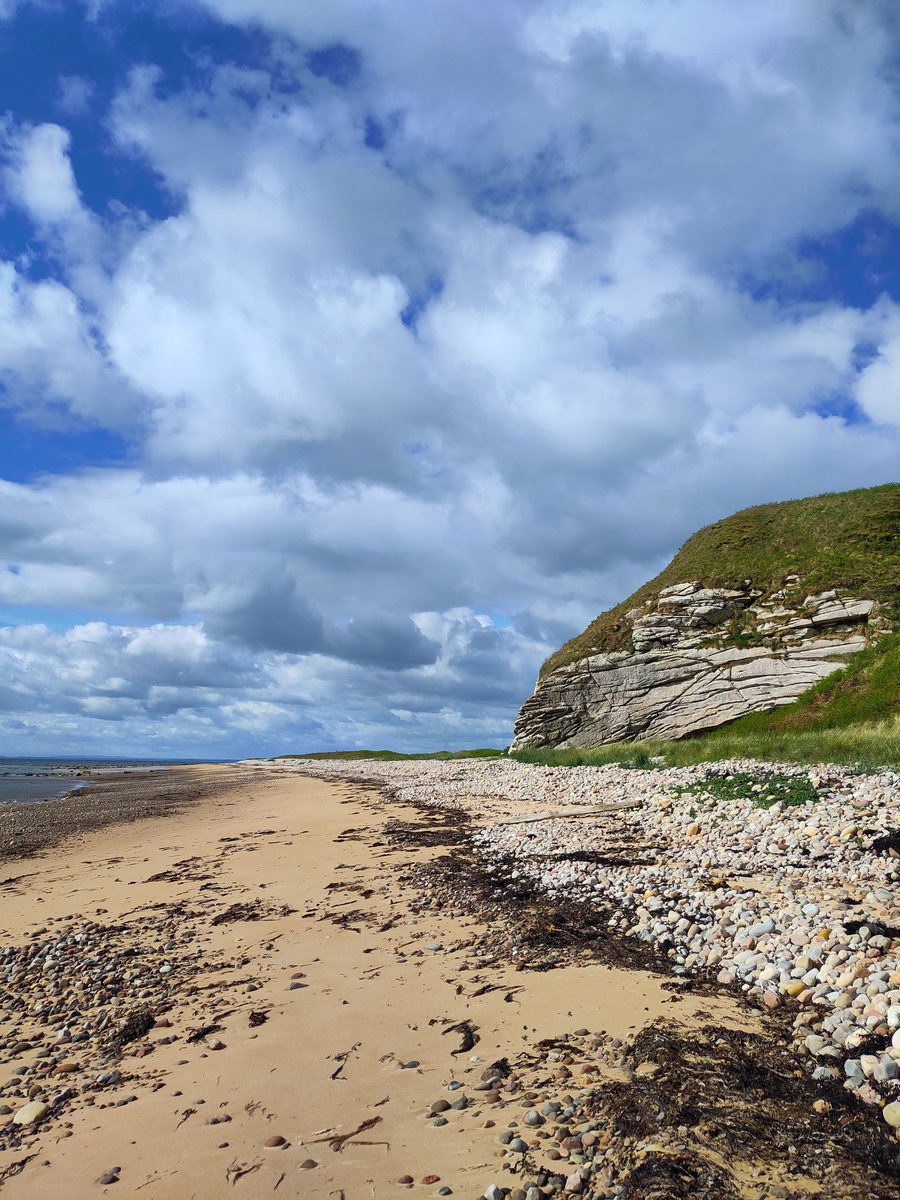 Rogart: (Between Golspie &amp; Brora). Seals swim. Oystercatchers walk quickly or fly noisily overhead. Running back towards Golspie. Fresh sand studded with rocks &amp; pebbles, strewed with seaweed. I pick my way along until it gets too difficult, then I head onto the coastal path...