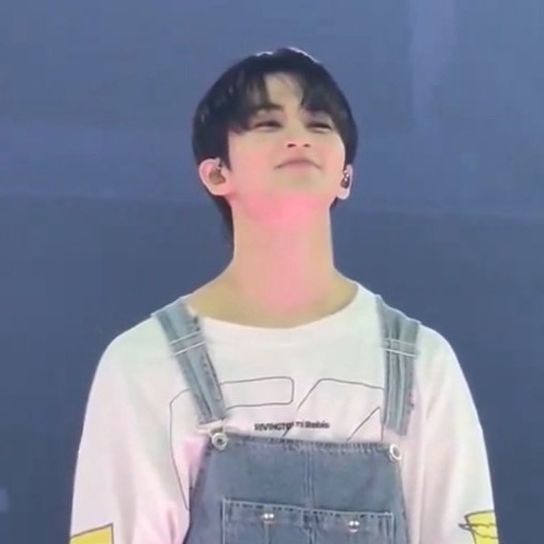 1999, แมวบินꪆৎ tweet media