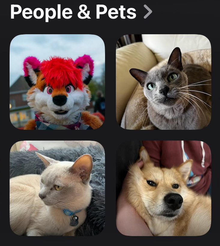Smart iPhone knows I’m people :3

… right?