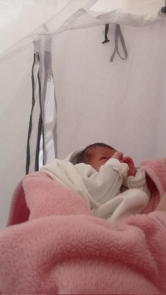Heba_wael2's tweet photo. It's difficult to give birth to a baby girl in a very hot tent full of flies and insects, there is no hygiene or even healthy food, please help us😭😭💔🍉🍉
https://t.co/nmnOKVLD7R https://t.co/yQMARRFXj5