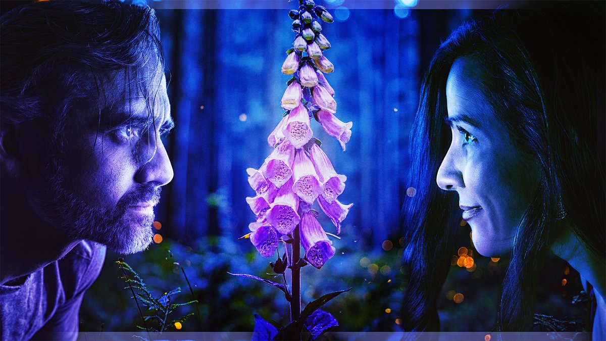 Haley Nelson (@haleybot) on Twitter photo The lovely <a href="/UntamedScience/">Rob Nelson</a> and I explored the deadly and medicinal foxglove plant with the every knowledgeable <a href="/MedCrisis/">Medlife Crisis (DEFUNCT)</a> in our latest StoneAgeMan video (go search for it there)! So excited to share this one. The lovely <a href="/UntamedScience/">Rob Nelson</a> and I explored the deadly and medicinal foxglove plant with the every knowledgeable <a href="/MedCrisis/">Medlife Crisis (DEFUNCT)</a> in our latest StoneAgeMan video (go search for it there)! So excited to share this one.