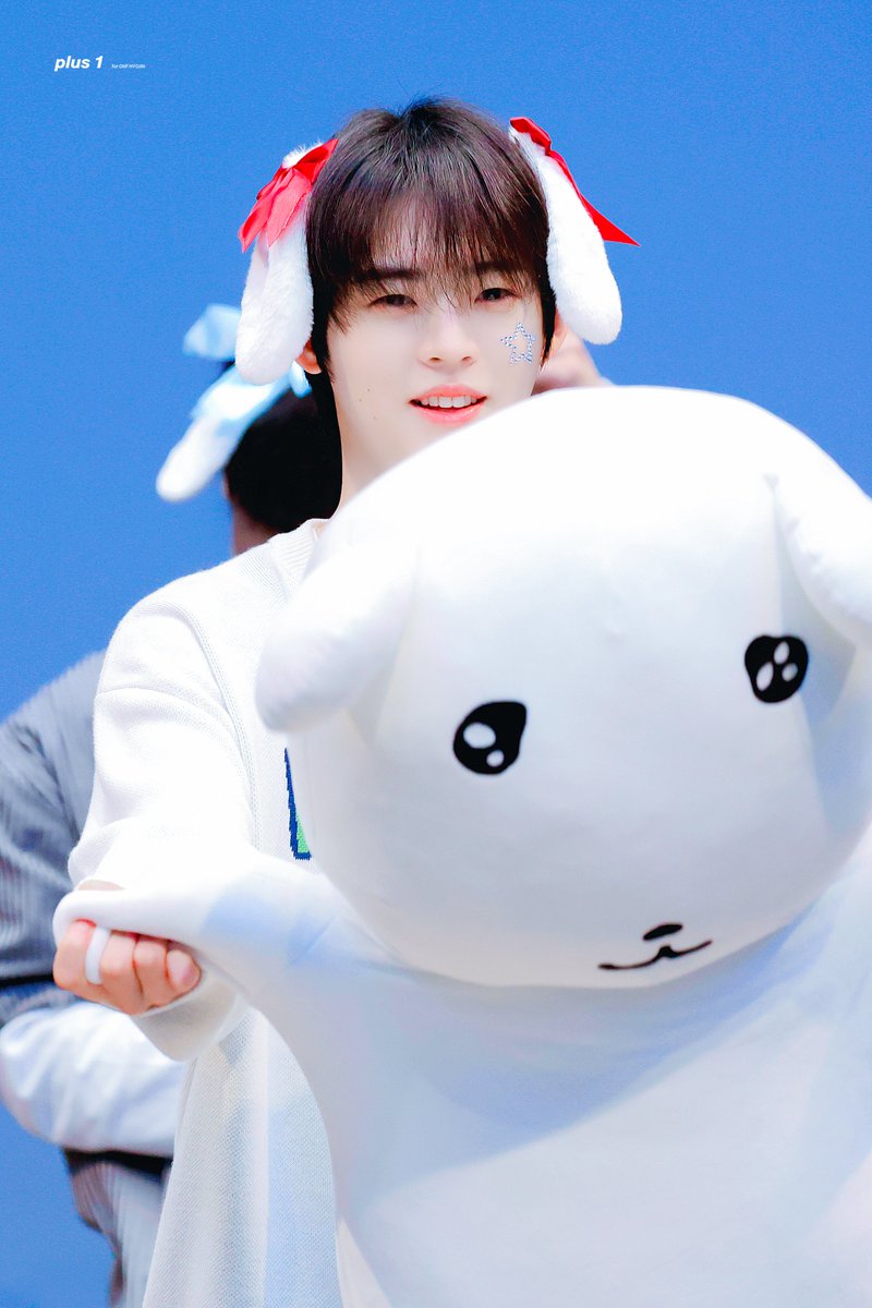 𝗽𝗹𝘂𝘀 𝟭 tweet media