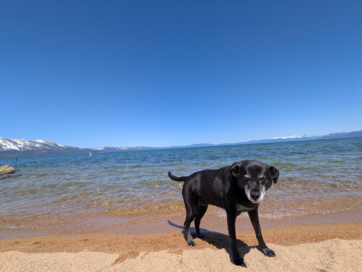 Happy birthday Bandit buds!