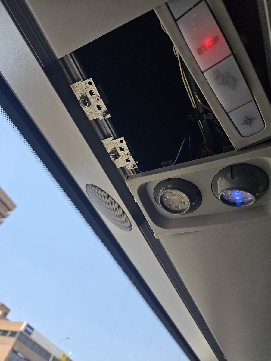 Pilariuca 🐭 tweet media