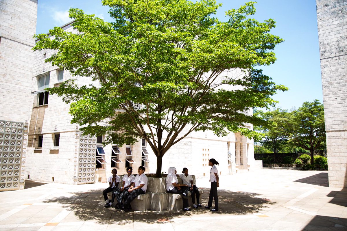 Aga Khan Academies (@akacademies) on Twitter photo Beneath the shade of a tree, friendships grow and conversations bloom.๐ณ
We love this photo from #AKAMombasa, that shows that even the quiet moments between classes are full of connection, reflection and community.
#AgaKhanSchools #ExcellenceInEducation <a href="/akdn/">Aga Khan Development Network</a> <a href="/iborganization/">International Baccalaureate</a> Beneath the shade of a tree, friendships grow and conversations bloom.๐ณ
We love this photo from #AKAMombasa, that shows that even the quiet moments between classes are full of connection, reflection and community.
#AgaKhanSchools #ExcellenceInEducation <a href="/akdn/">Aga Khan Development Network</a> <a href="/iborganization/">International Baccalaureate</a>