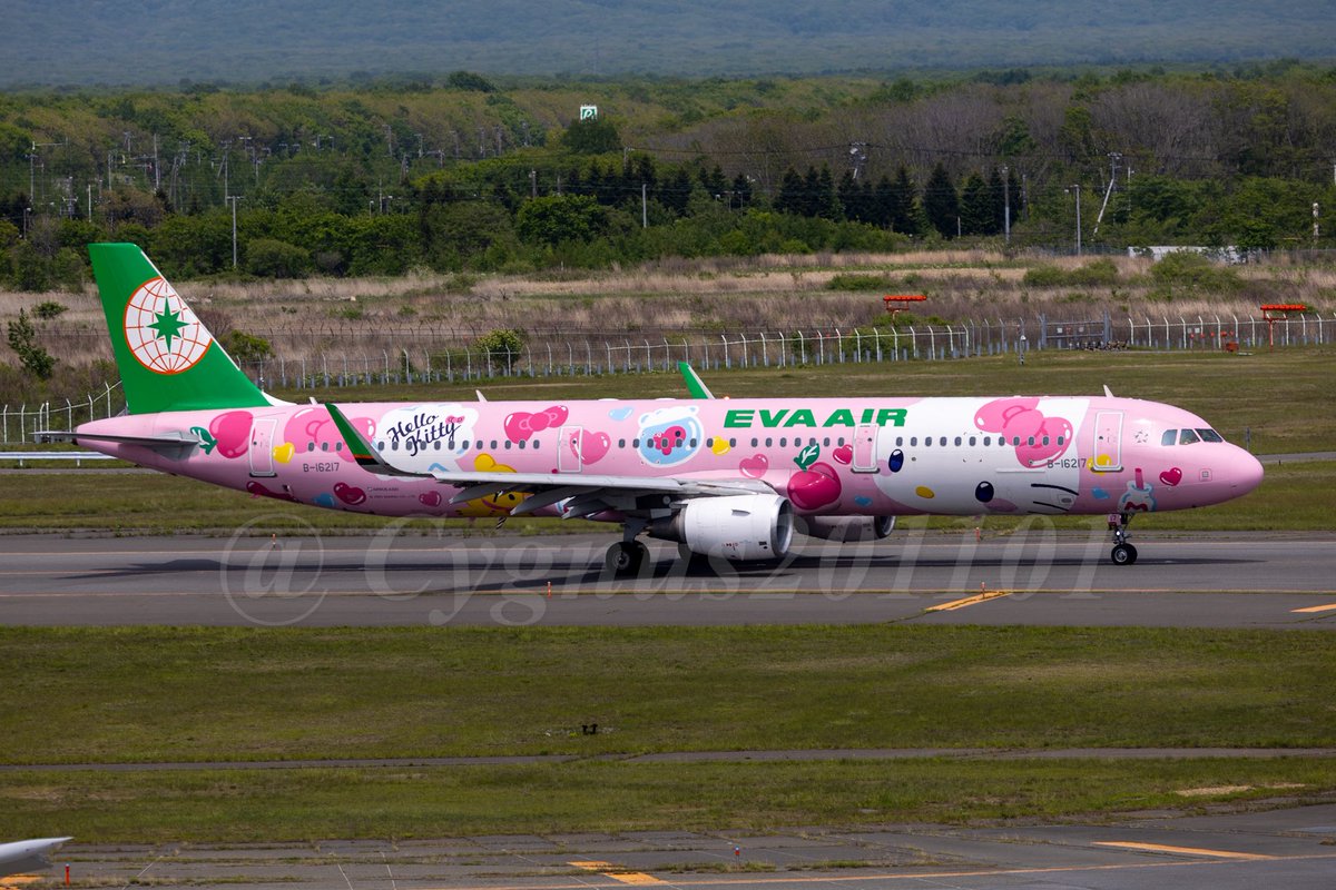 Cygnus201101's tweet photo. B-16217
Airbus A321-211(WL)
EVA Air
(Hello Kitty Pinky Jet Livery)

May 28, 2025

1月19日以来の２回目かな？

#B16217 #EVA #HelloKitty #PinkyJet #CTS #RJCC #新千歳空港 https://t.co/IVErKLIPnH