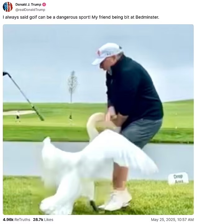 Mika "Islamofobia" Haukka (@mikehawkslayer) on Twitter photo 