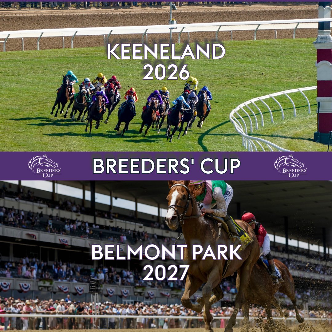 At The Races tweet media