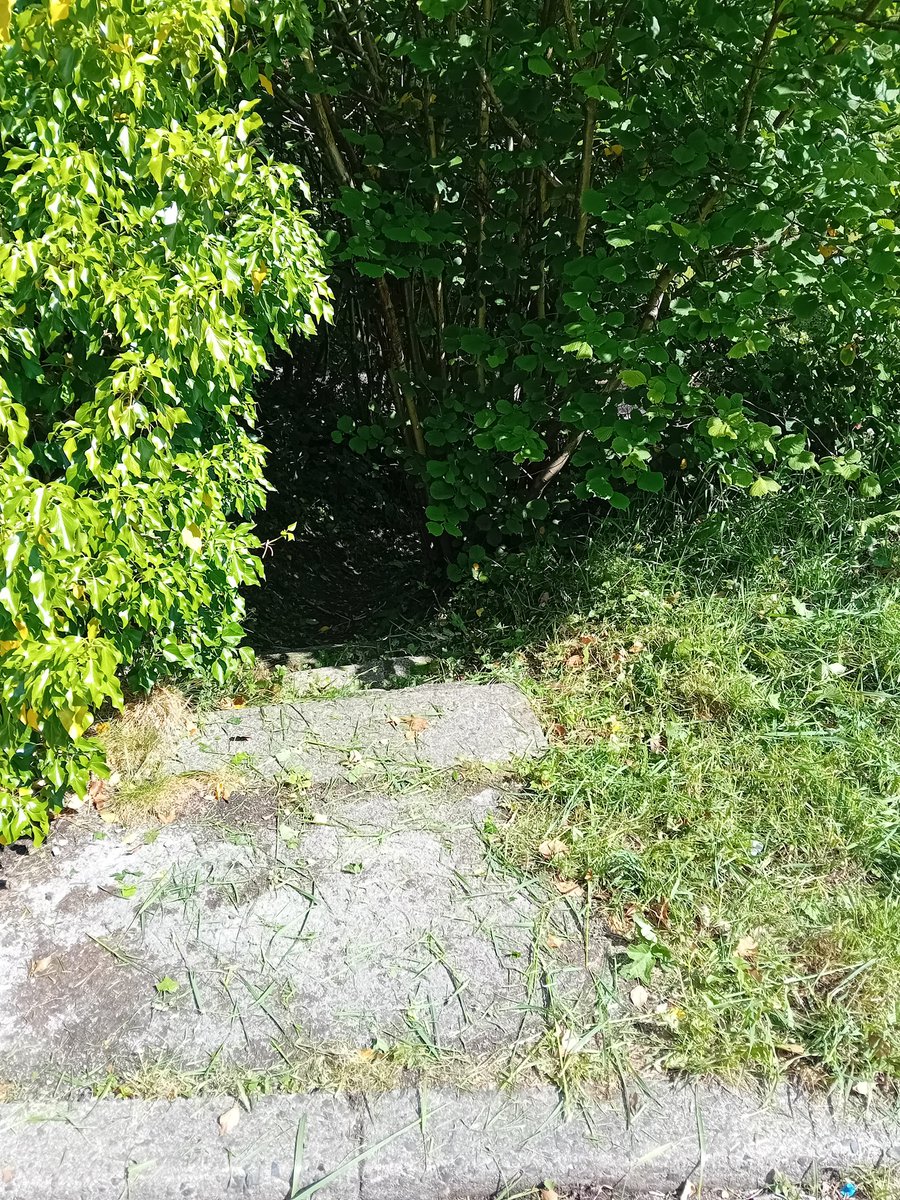 TheLengthsman's tweet photo. Uncovered the hidden steps to the school lane to the footbridge over the River Leven and gave it a good strimming for the kids coming back next week !
#Backbarrow https://t.co/bX3GMu1zGq