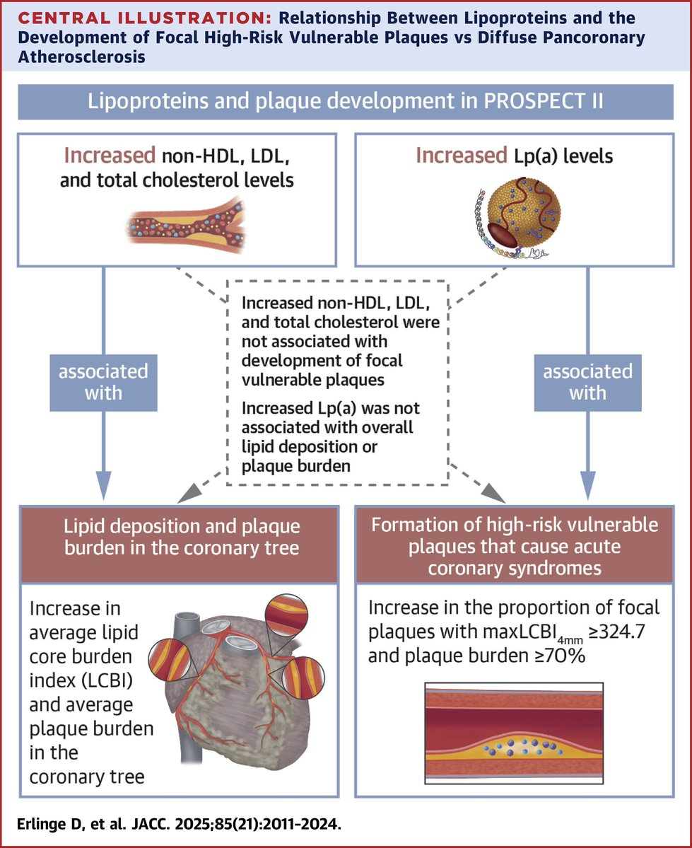 JACC Journals (@jaccjournals) on Twitter photo In PROSPECT II, elevated TC, LDL-C, and non-HDL-C were strongly associated with pancoronary #atherosclerosis & lipid deposition, whereas elevated Lp(a) was strongly associated with the presence of focal vulnerable plaques jacc.org/doi/10.1016/j.…
#JACC #ASCVD #cvAMI <a href="/GreggWStone/">Gregg W. Stone MD</a> In PROSPECT II, elevated TC, LDL-C, and non-HDL-C were strongly associated with pancoronary #atherosclerosis & lipid deposition, whereas elevated Lp(a) was strongly associated with the presence of focal vulnerable plaques jacc.org/doi/10.1016/j.…
#JACC #ASCVD #cvAMI <a href="/GreggWStone/">Gregg W. Stone MD</a>