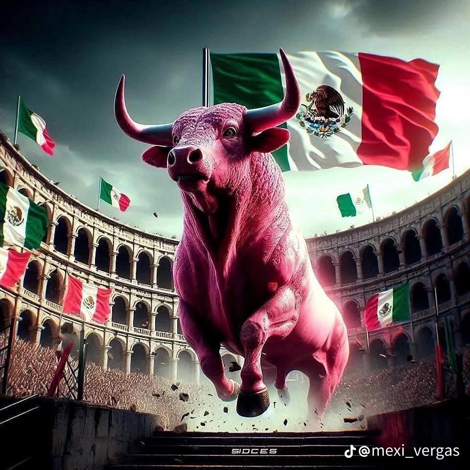 Jla552's tweet photo. 🐂💨 ¡Isac del Toro, un ciclista desatado en el ruedo del Giro!
Como un torero valiente en plena faena, Del Toro embiste sin piedad a sus rivales, dejando sangre, sudor y pedales en cada etapa.
Corta oreja y... ¡piernas!, con cada ataque demoledor. #OléDelToro #GirodItalia2025 https://t.co/Q50RICmcdh