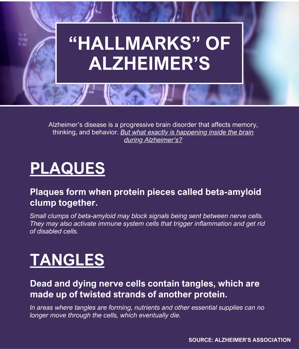 Did you know that June is #AlzheimersandBrainAwarenessMonth? Join us in the effort to raise awareness about Alzheimer’s disease.

You may know a basic definition of Alzheimer's disease, but do you know what is happening inside the brain as the disease progresses?