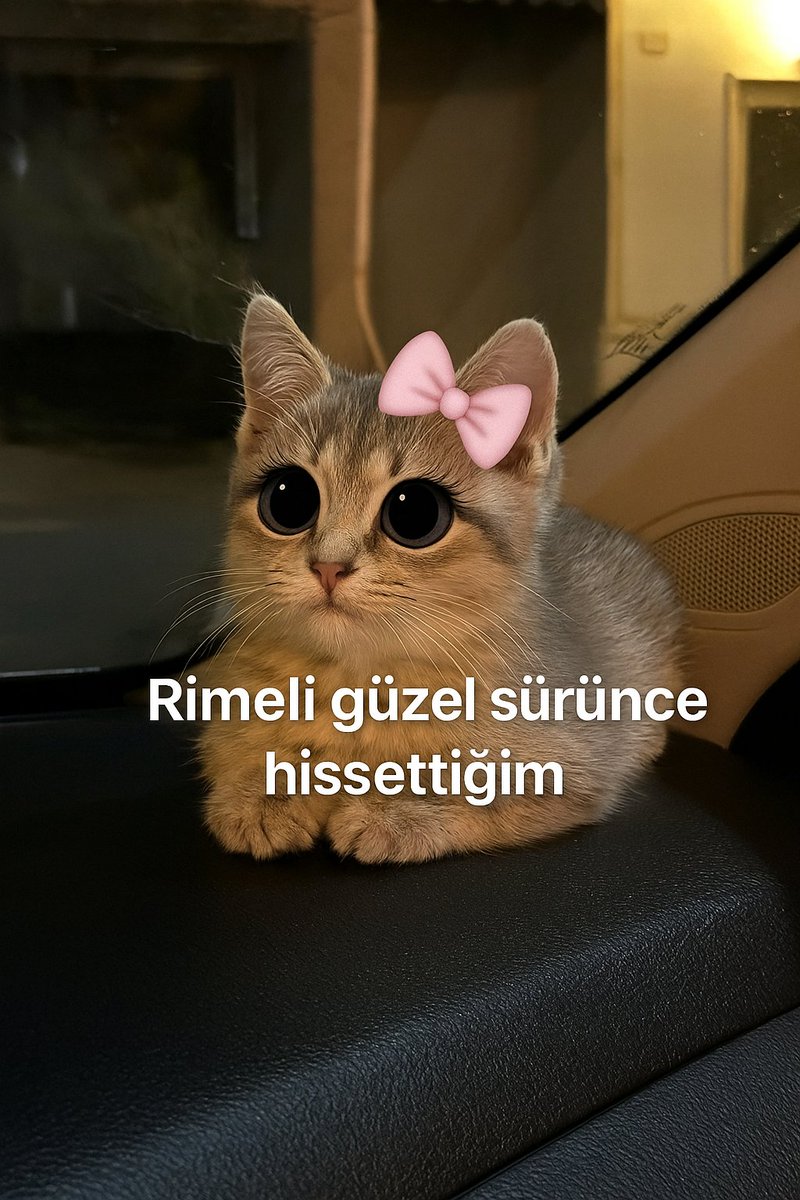 Merve Gündüz (@bidurmerveee) on Twitter photo 