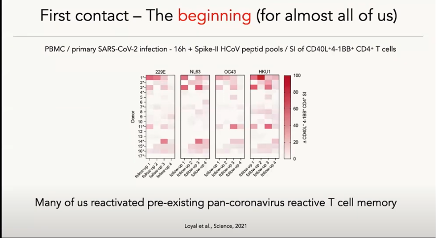 In Berlin fand aktuell eine interessante Veranstaltung zu Corona am Deutschen Rheuma-Forschungszentrum statt. Andreas Thiel(Charitè) stellt erneut klar, dass es zu Corona eine signifikante Hintergrundimmunität gab. Drostens Pandemiedefinition vom 16. Mai 2025(1) beinhaltete die