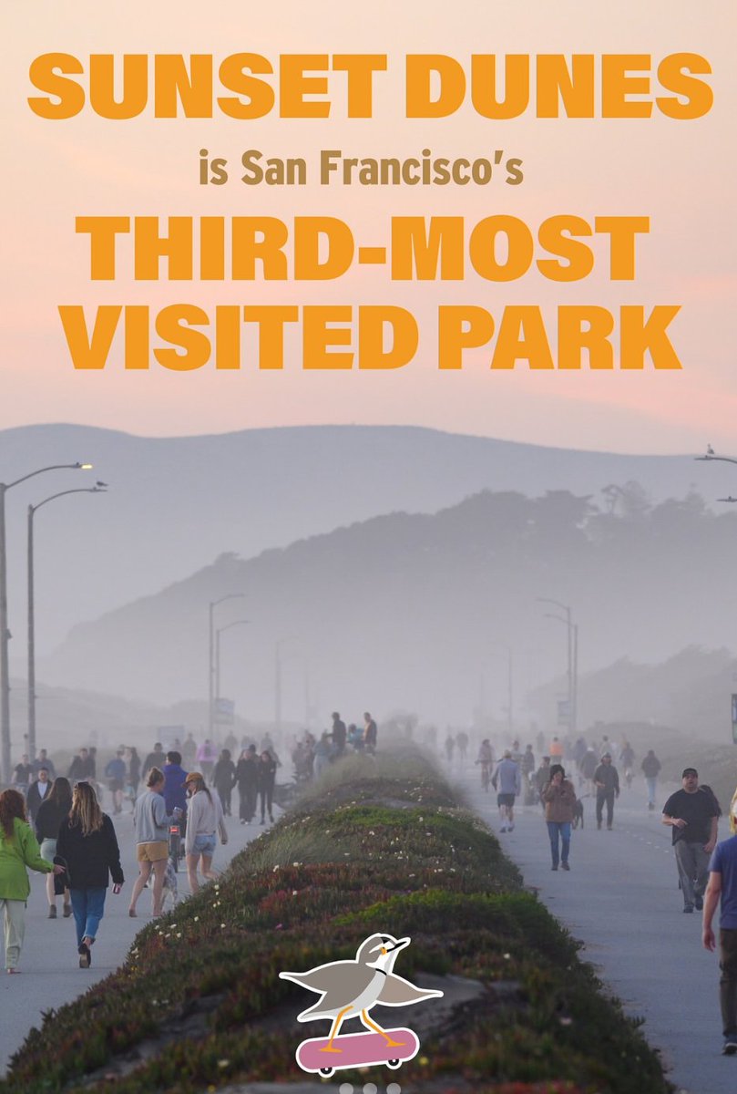 🔥Some exciting news from <a href="/RecParkSF/">San Francisco Recreation and Park Department</a> Sunset Dunes is already San Francisco’s third-most-visited city park since officially opening last month, with over 150,000 visits! This is an enormous milestone for a city park, and we’re thrilled by how much the community loves it. 🧵