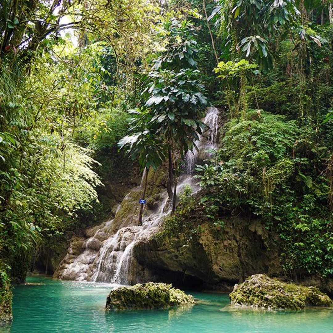 mobayvacations's tweet photo. 🌊✨ Somerset Falls and beyond — where should we take you next?

Book your private transfer or island tour with Montego Bay Vacations now. Hassle-free, all vibes. 🚐🇯🇲

#MontegoBayVacations #SomersetFalls #JamaicaTravel #BookNow https://t.co/1AiBjTPlSo