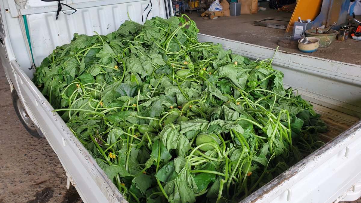 やっと過睡眠の状態から抜け出せました、おはようございます。

個々のところの忙しさも相まって、天気に体調を翻弄されていたのが整いだしたようです。

帰ってから食事をして身体を拭いて朦朧としてた毎日から快調に向かいだしました。

おはようございました。
本日から創作の方に掛けられます。