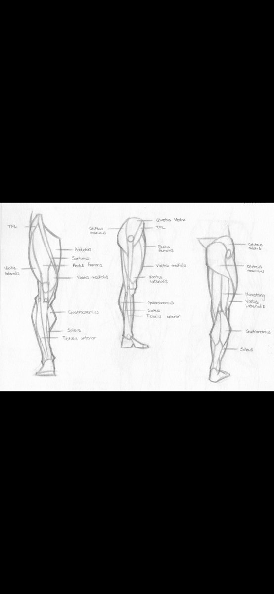 Andrew Gavarrete •COMMISSIONS CLOSED tweet media