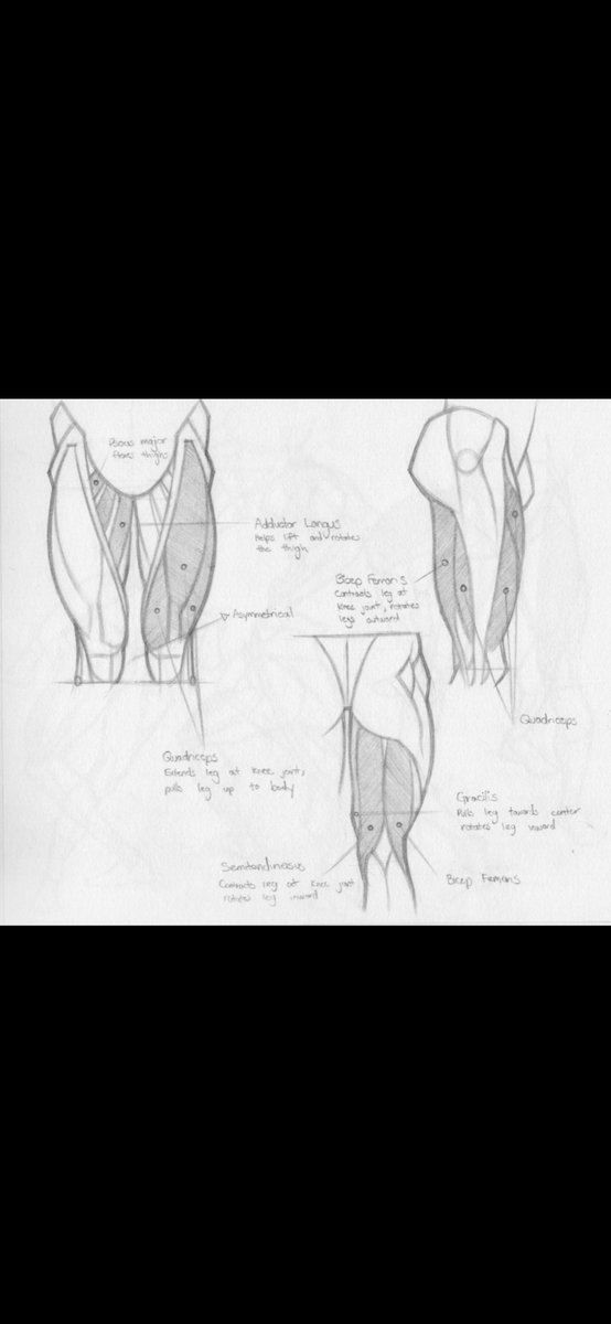 Andrew Gavarrete •COMMISSIONS CLOSED tweet media