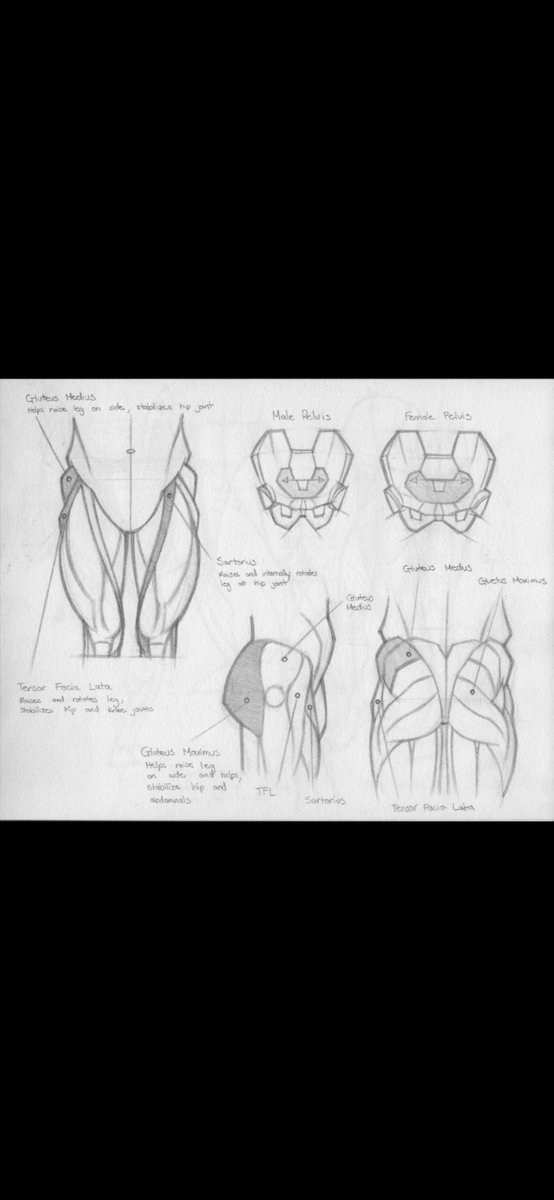 Andrew Gavarrete •COMMISSIONS CLOSED tweet media