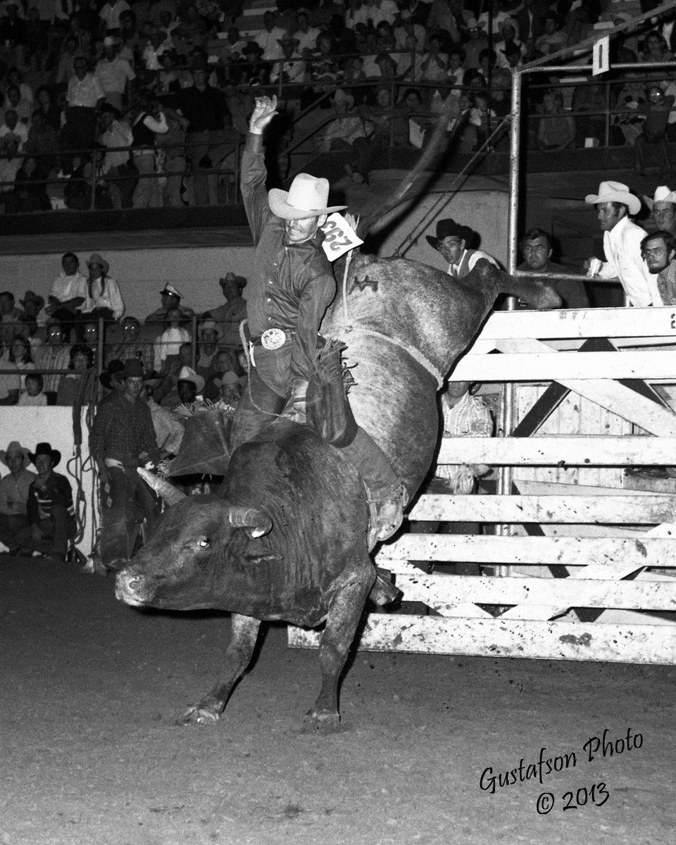 Bill Nelson - Class of 2025 Inductee - The Bull Riding Hall of Fame
This outstanding shot is the 1971 RCA World Champion Bull Rider on 24 Roanie of Steiner's at the 1972 Heart O' Texas Rodeo in Waco, Texas. 
From Hall of Fame photographer Jerry Gustafson's 2025 BRHOF collection.