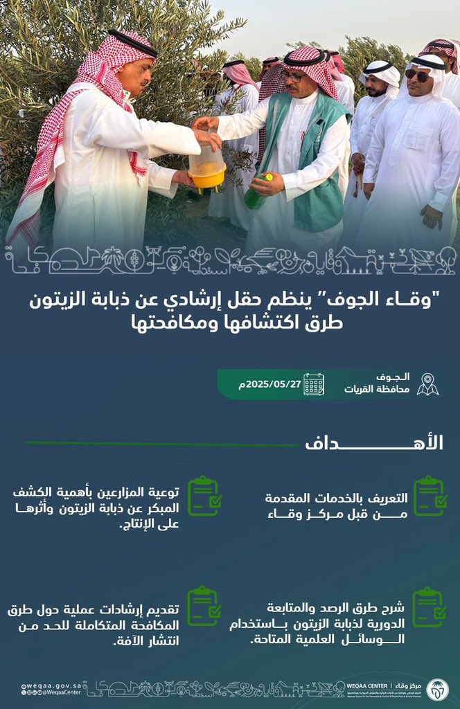 🔴 #القريات_اليوم 🔴
نظّم قسم الصحه النباتية في #مركز_وقاء حقلًا إرشاديًا حول ذبابة ثمار الزيتون بالتعاون مع المهندس/ضيف الله الشراري و الفني الزراعي/ناجح سلمان وتم خلاله شرح طرق الاكتشاف والمكافحة لهذه الآفة التي تهدد إنتاج الزيتون.
ويأتي هذا النشاط ضمن جهود المركز المستمره ب