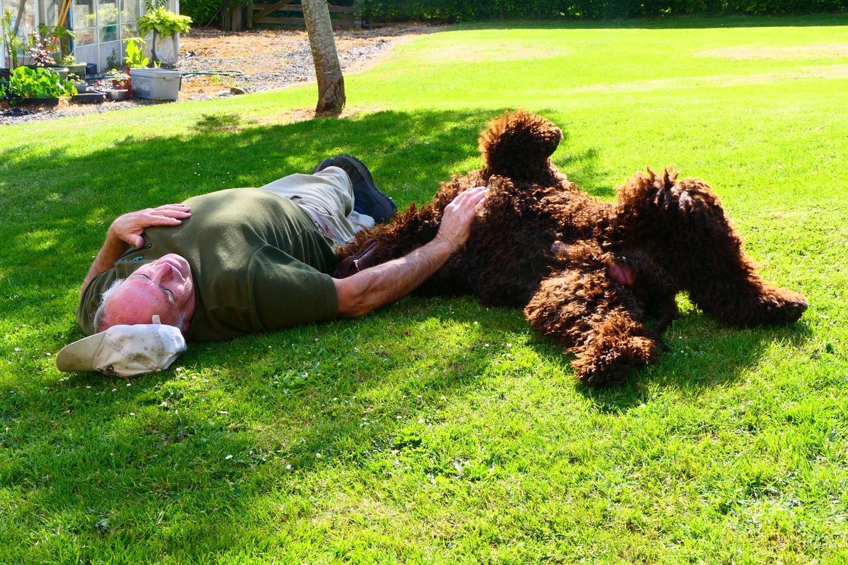 JontitheRetriever🌈 tweet media