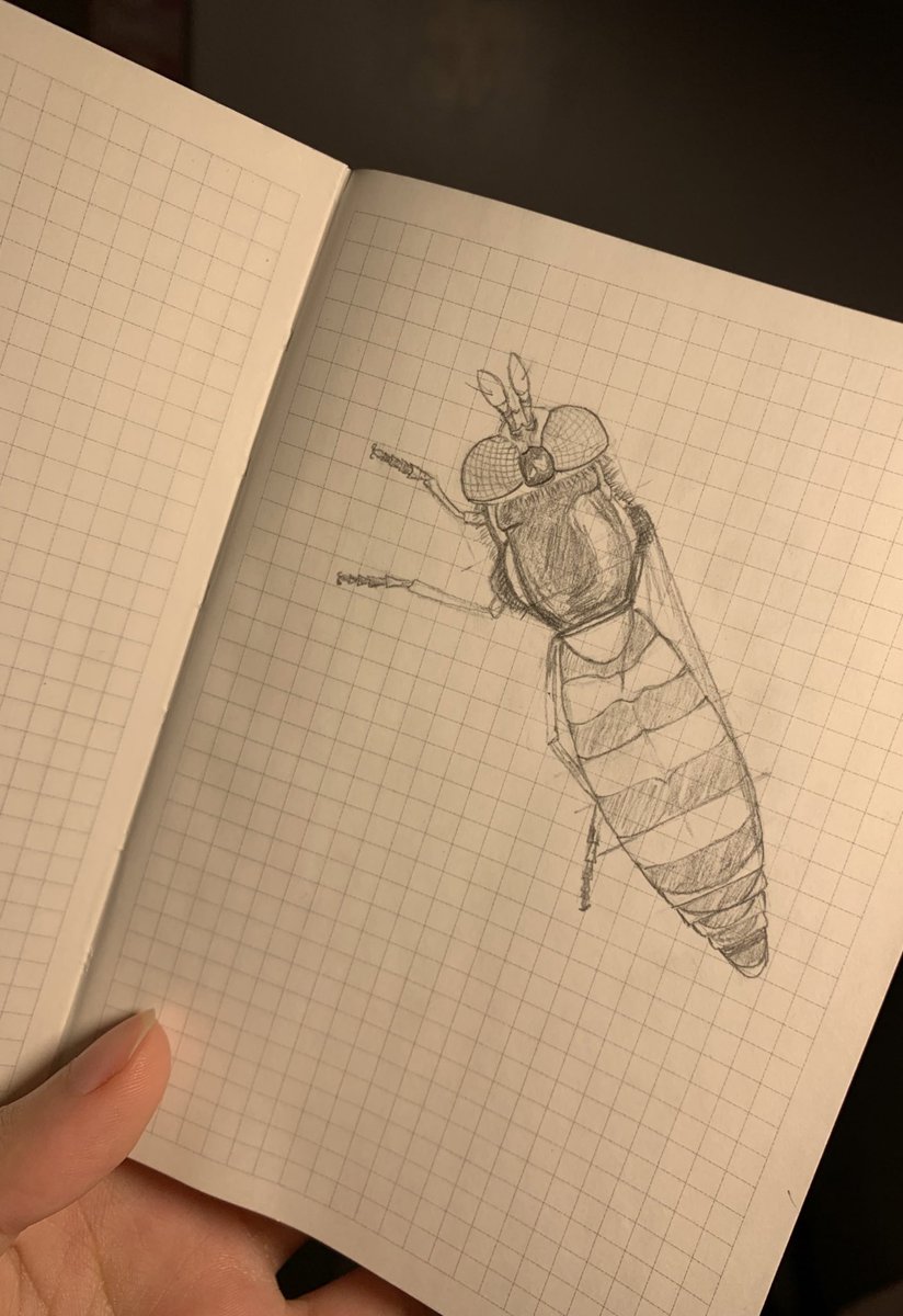 بما أنه مليانه أغلاط قلت أنزله لكم 💁🏿، دائمًا أقع بنفس الغلط وأرسم شيء يعتبر صغير مقارنة بالتفاصيل الي لازم أرسمه، عجزت أكبّر رسمي