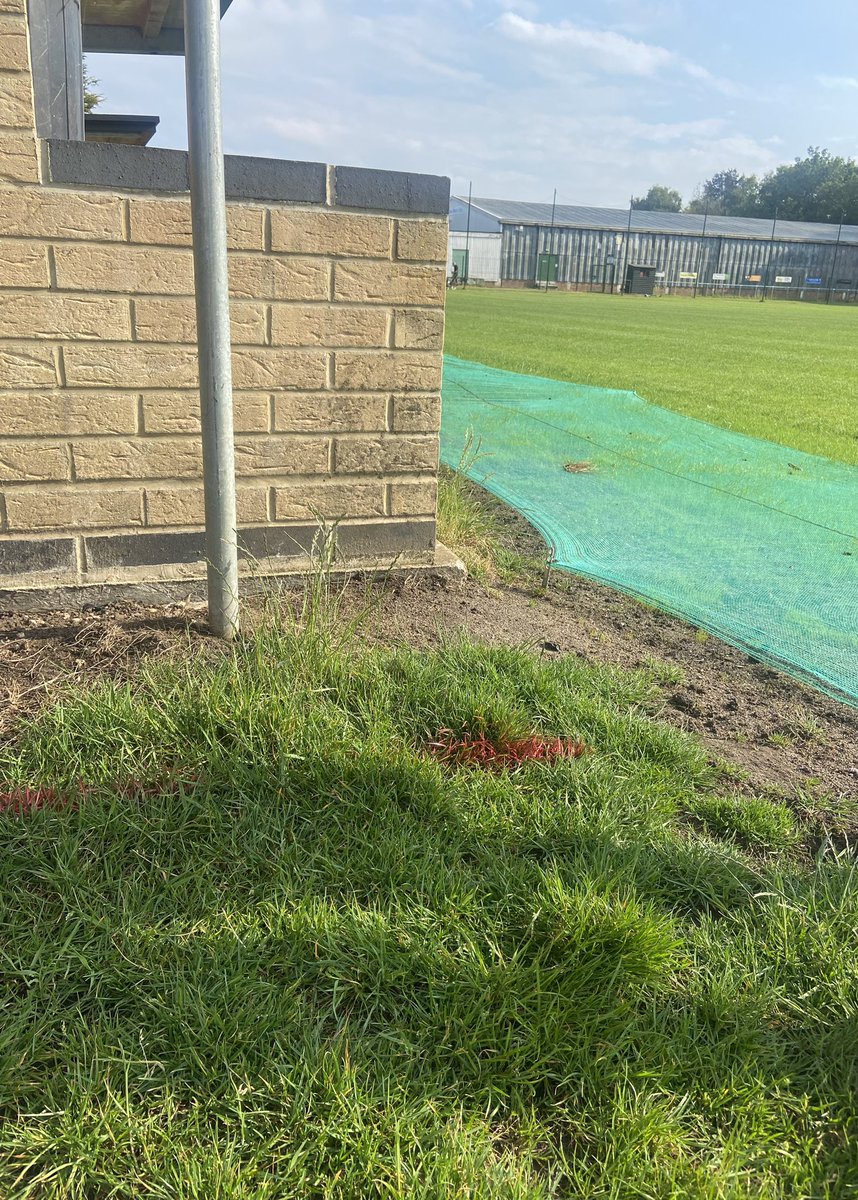 Beccles Town FC - Mens tweet media
