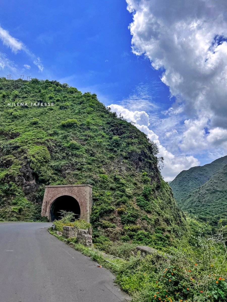 ወልድያ በክረምት 💚

 #CaptureEthiopia #Ethiopia #VisitEthiopia #LandOfOrigins