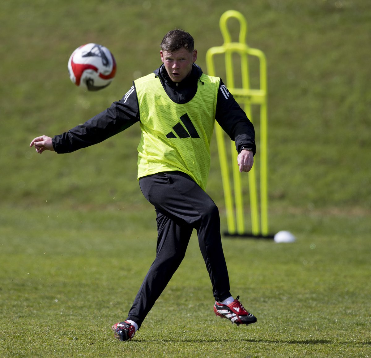 Stephen O'Donnell tweet media