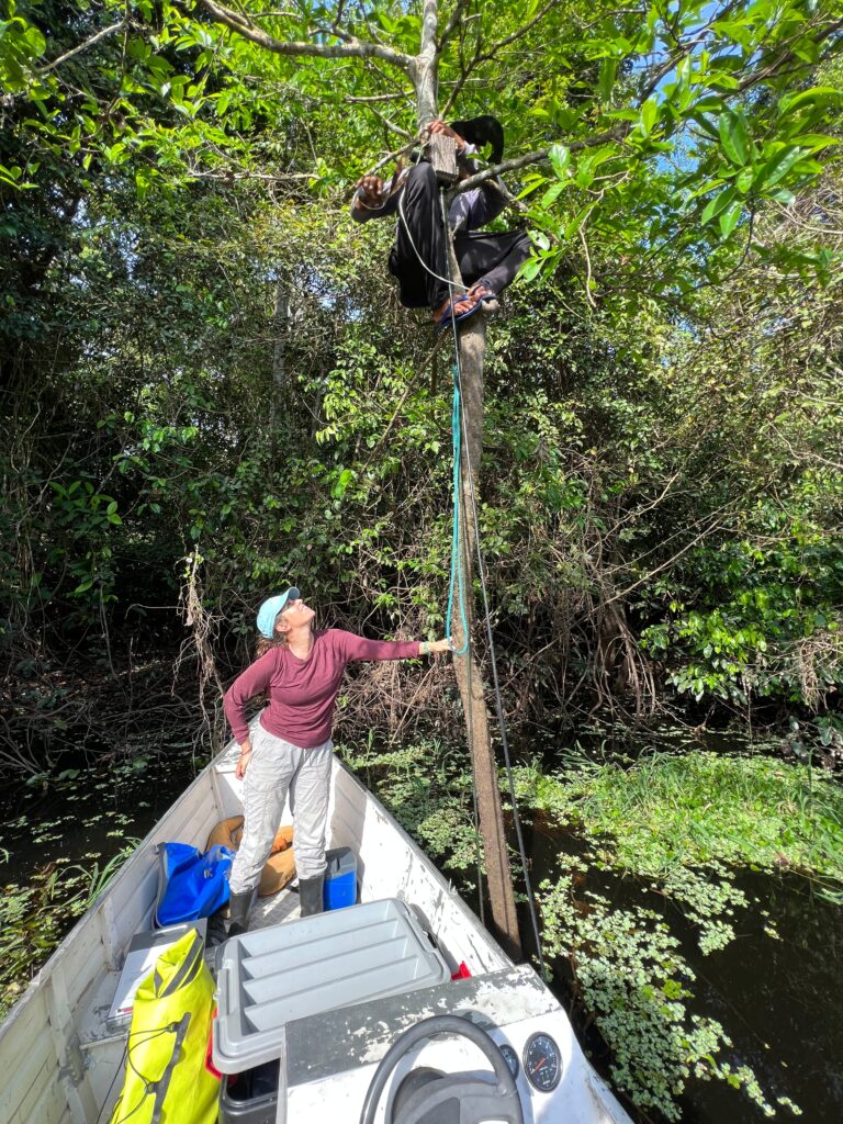 RaickXavier's tweet image. Les sons de la biodiversité recensés pour la première fois dans une base de données internationale ! 
=&amp;gt; à lire ici:
goodplanet.info/2025/05/21/les…