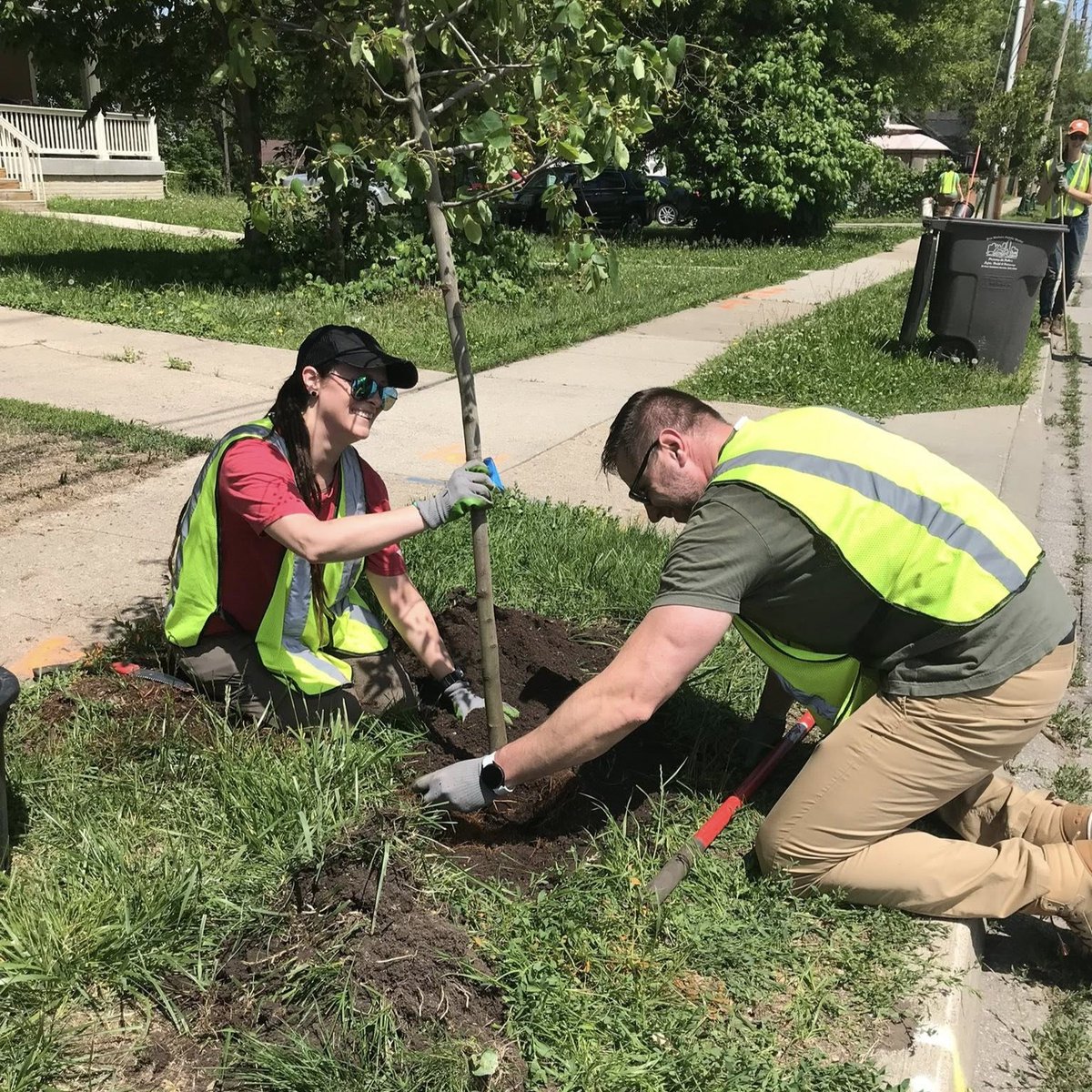 Trees Forever (@trees_forever) on Twitter photo Our Des Moines team was joined by <a href="/MidAm_EnergyCo/">MidAmerican Energy</a> volunteers for a second time this season! Last Friday was a big planting day with 49 trees finding homes on College Ave. Our Des Moines team was joined by <a href="/MidAm_EnergyCo/">MidAmerican Energy</a> volunteers for a second time this season! Last Friday was a big planting day with 49 trees finding homes on College Ave.