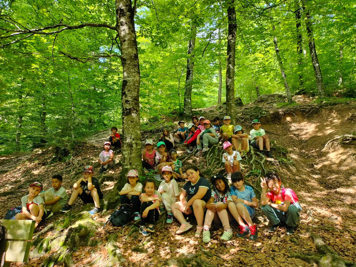 fontdelroure's tweet photo. 🌳 Tarda d’aventura a la Fageda i visita a les vaques! 🐮
Hem gaudit de la natura, hem descobert racons màgics i hem conegut de prop els animals de la granja. Una experiència divertida i plena d’aprenentatges! 😄🍂
#Colònies2n #Fageda #TempsDeColònies #AprendreGaudint https://t.co/bb7pQlFV5h