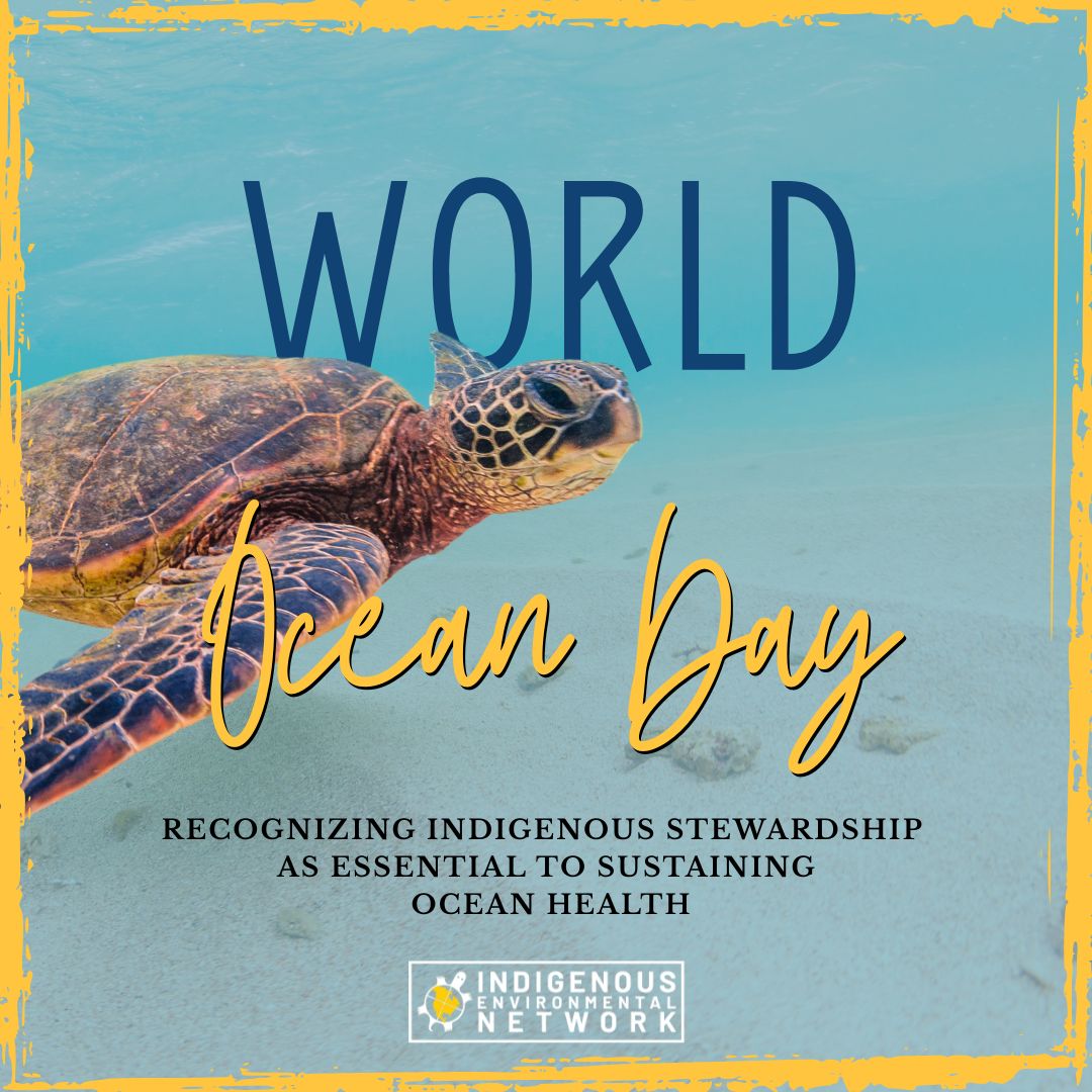 For millennia, Indigenous Peoples have traveled, harvested, and lived in deep relationship with the oceans — waters that nourish our food systems, economies, and lifeways across Mother Earth. 
Traditional Indigenous Knowledge sustains this sacred, reciprocal bond, protecting the