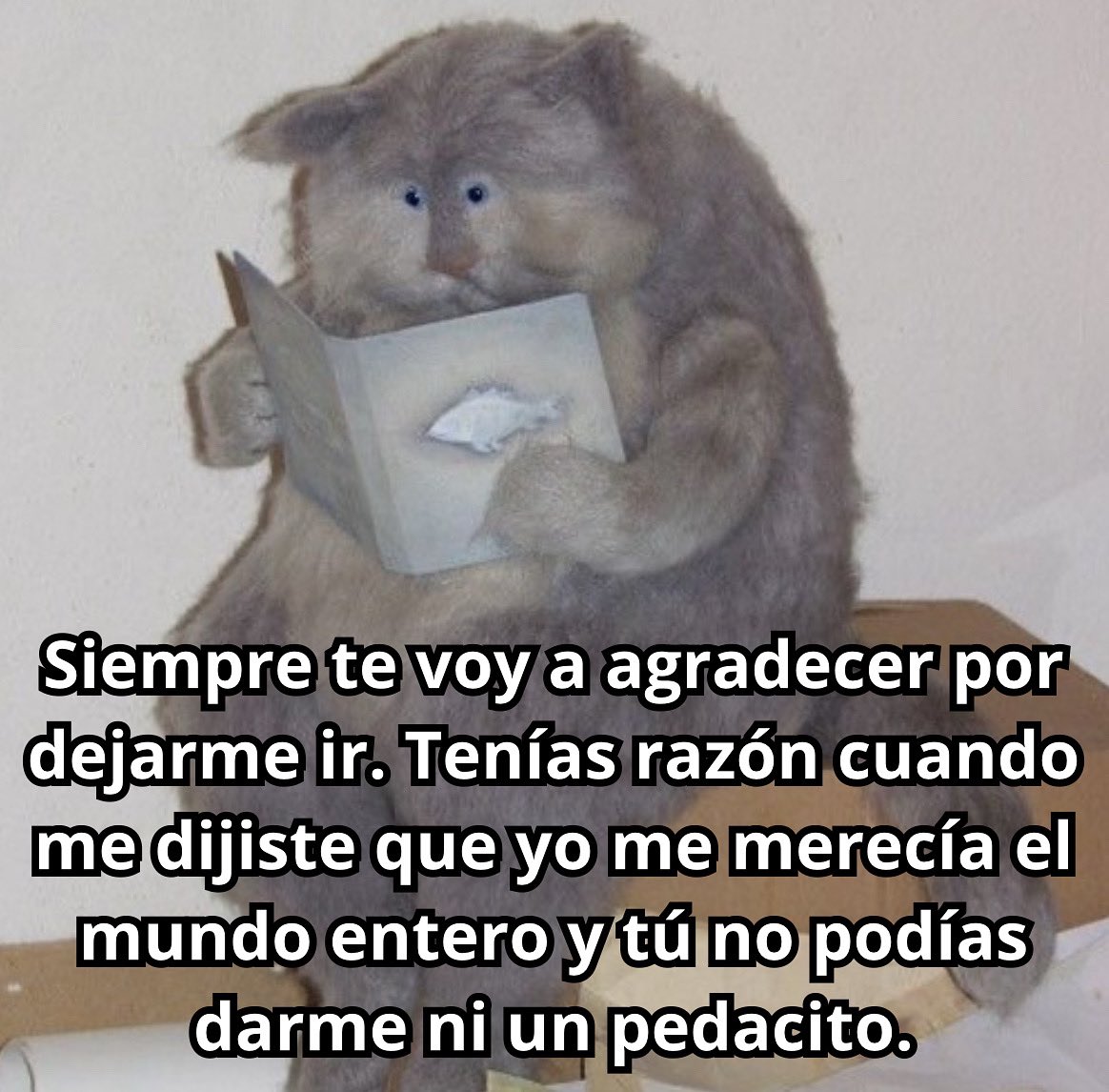 conoloracigarro's tweet photo. https://t.co/W9cUL86DWZ