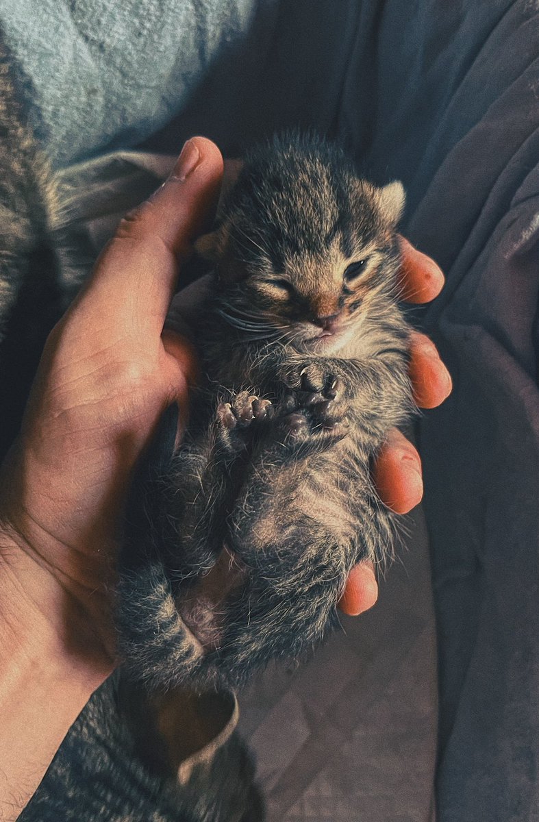 Tekirdağ köfte 🧿