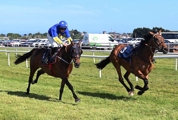 Gordon Elliott (@gelliott_racing) on Twitter photo Josh Halford and Beacon Edge take home the first <a href="/WexfordRacecour/">Wexford Racecourse</a> this evening for winning owners the βCheeky Pups Syndicateβ π₯
πΈ Healy Racing Josh Halford and Beacon Edge take home the first <a href="/WexfordRacecour/">Wexford Racecourse</a> this evening for winning owners the βCheeky Pups Syndicateβ π₯
πΈ Healy Racing