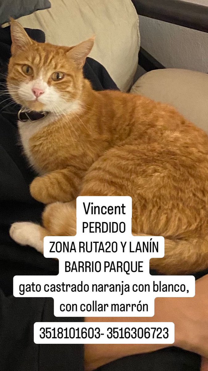 MeliBCastro's tweet photo. ‼️DIFUNDIR 🙏🏼
ZONA R20/ Barrio Parque https://t.co/5R7vQMuw1V