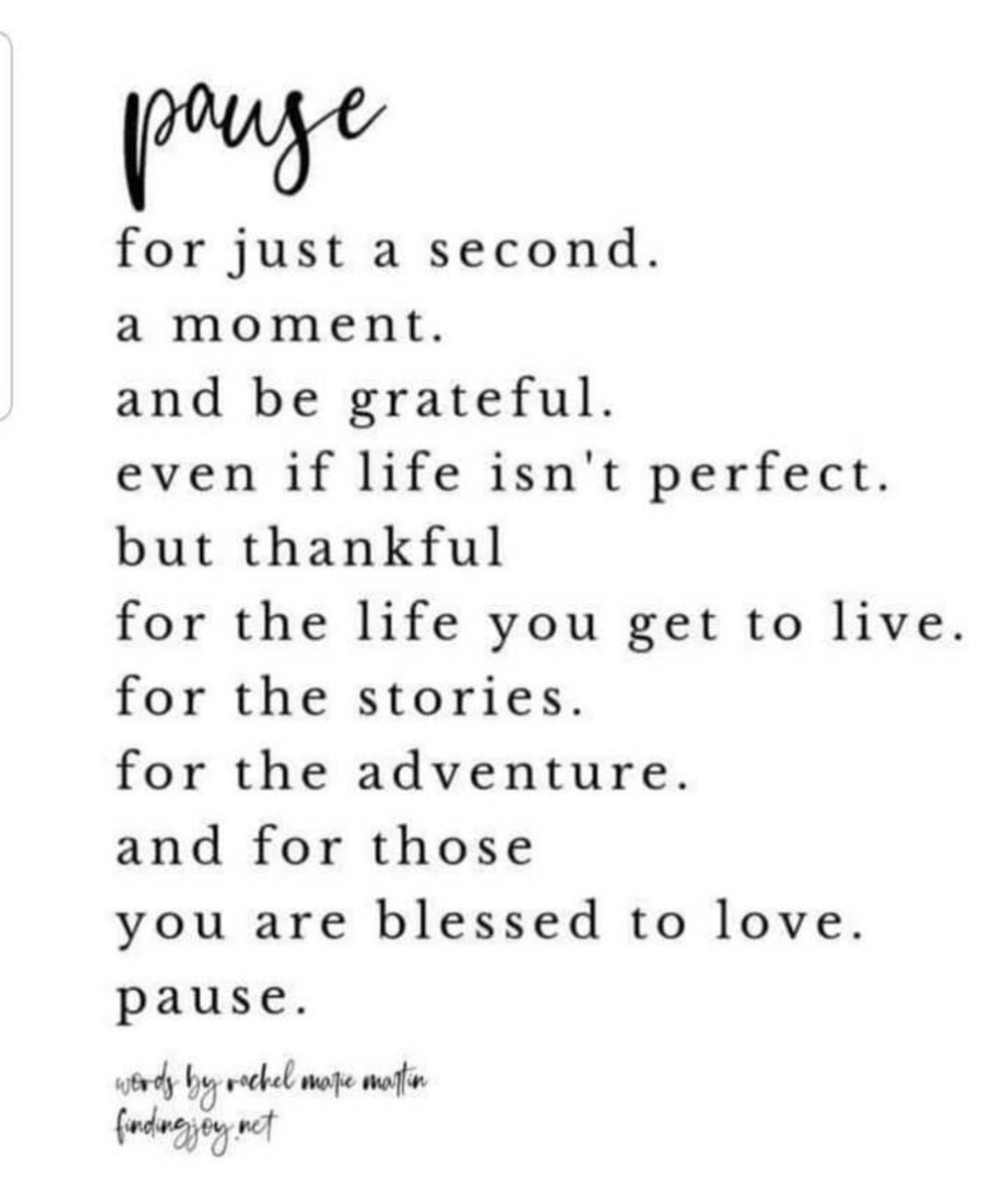 Just a reminder to be grateful. Your life could be much, much worse. 🙏💖💕✨