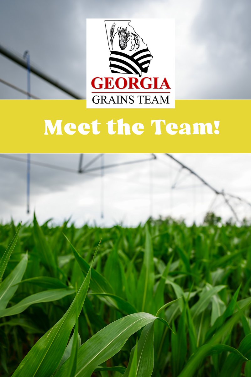 UGA_GrainsTeam's tweet photo. A new era of grain production at the University of Georgia! 
-
-
- 
Meet Dr. Nicholas Shay! https://t.co/YxqotYPco2