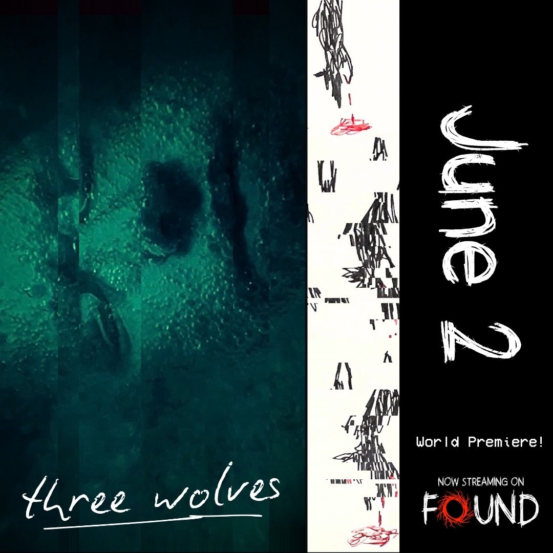 TODAY ON FOUND: Three Wolves (2025) - A coin forged from WW II death's head rings, said to contain the souls of the soldiers that wore them, is surgically inserted into a patient to test the efficacy of the lore. #FoundFootageLivesHere